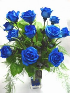 ELECTRIC BLUE ROSES  
