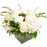 Elegance Floral