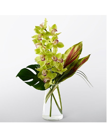 Elegance  orchids arrangement  