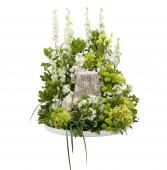 Elegance Surround 