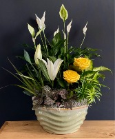 Elegant Basket Garden with Fresh Flowers Dish Garden