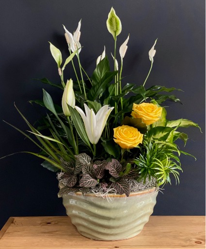 Elegant Basket Garden with Fresh Flowers Dish Garden