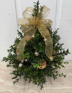 Elegant Boxwood Tree 