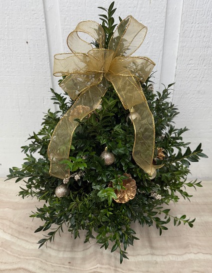 Elegant Boxwood Tree 