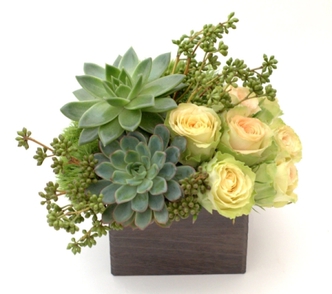 Elegant Complement Design Flower and Succulent Arrangement