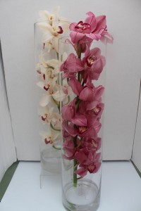 Elegant Cymbidium Orchid Cylinder Fresh Arrangement