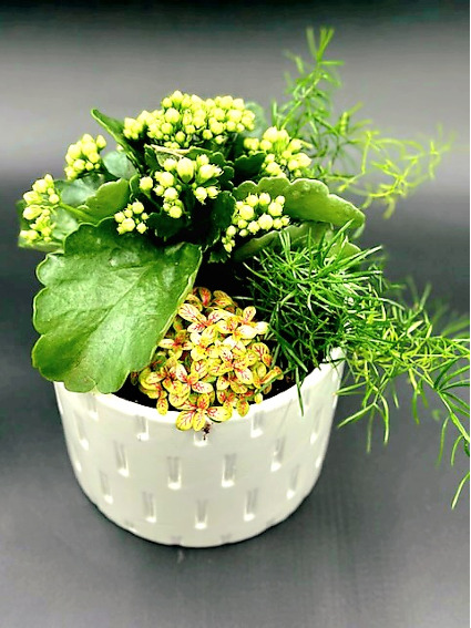 Elegant Euro Garden 6