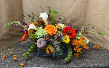 Elegant Fall  in Pettisville, OH | Weeping Willow Florist