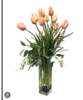 Elegant French Tulips 