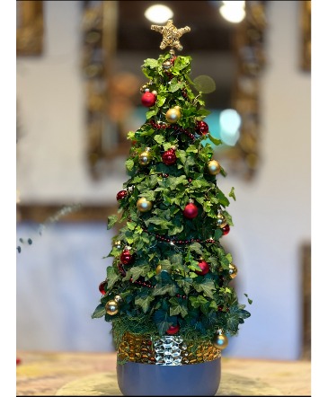 ELEGANT IVY CHRISTMAS TREE PLANT plant in Orinda, CA | SaraBella flower shoppe