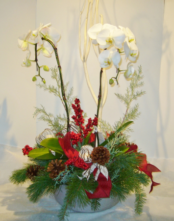 ELEGANT ORCHID Holiday Planter