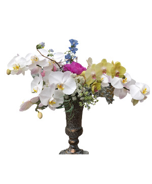 "Elegant Orchid Vase" Love - Romance