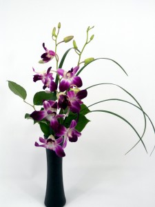 Elegant Orchids 