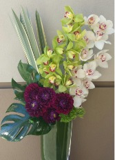 Elegant Orchids  