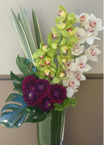 Elegant Orchids   in Ozone Park, NY | Heavenly Florist