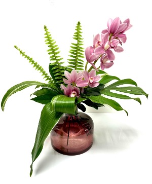 Elegant Orchids 