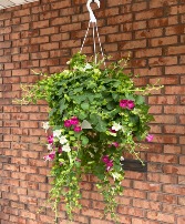 Elegant Pink and White Hanging Planter 