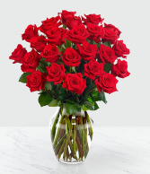 Elegant 24  Red Rose Two dozen Red Rose  Arrangements 