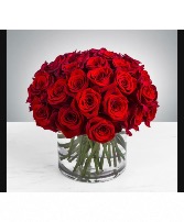 Elegant red roses 
