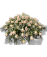 Purchase this funeral home arrangement