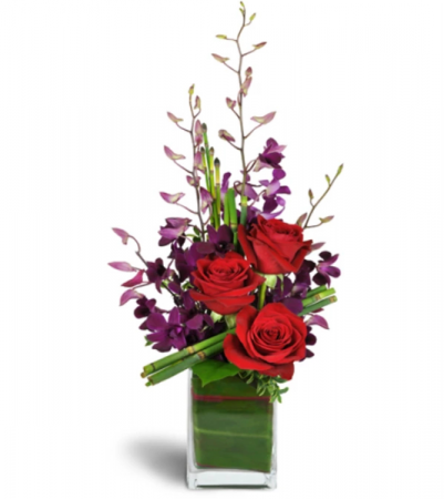 Elegant Vibrance Anyday