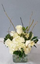 Elegant White Cube 