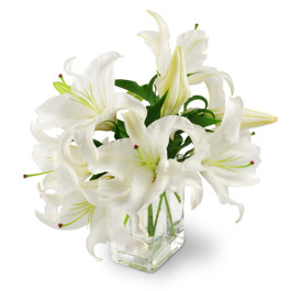 Elegant White Lilies 