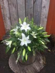 Elegant White Lily 