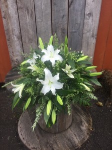 Elegant White Lily