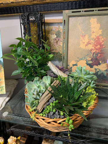 Elevated Succulent Gardens Hollie and Pine in Elizabeth, CO | Hollie and Pine Floristry