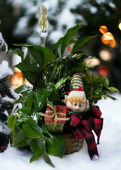 Elf Dish Garden Basket