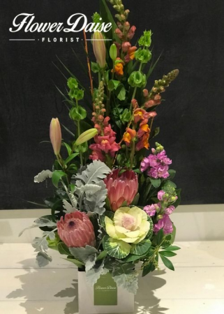 Sasha Arrangement