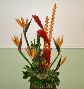 Elite Design 14 Memorable Moment Bouquets in Galveston, TX | J. MAISEL'S MAINLAND FLORAL Elite Design 14 Memorable Moment Bouquets in Galveston, TX | J. MAISEL'S MAINLAND FLORAL
