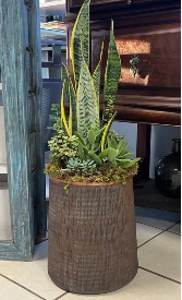 Grand Succulent   Planter