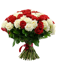 Category Image