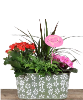 Emboss Daisy Oval Planter