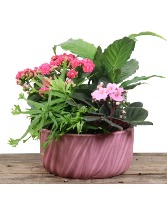 Embossed Garden Planter Tropical Planter