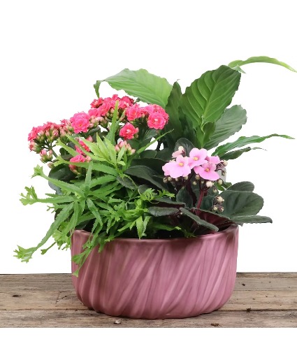 Embossed Garden Planter Tropical Planter