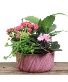 Embossed Garden Planter Tropical Planter