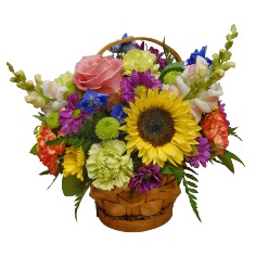 Category Image