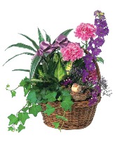 Emerald Bird basket dish garden