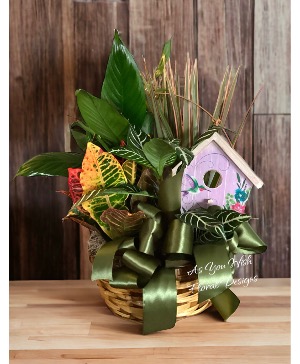 Emerald Delight Basket Designer Choice 