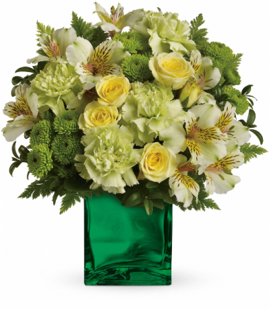 Emerald Elegance HEV2626A