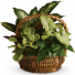 Purchase this funeral home arrangement