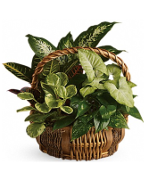 Emerald Garden Basket Flower Arrangement