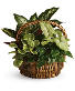 Purchase this funeral home arrangement