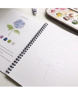 Emily Lex Studio  Flower Watercolor Workbook