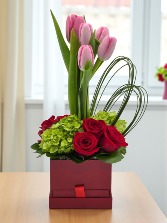 "En sintonía con Tu Corazón" Valentine 2026