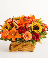 Enchanted Basket  
