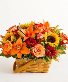 Enchanted Basket  
